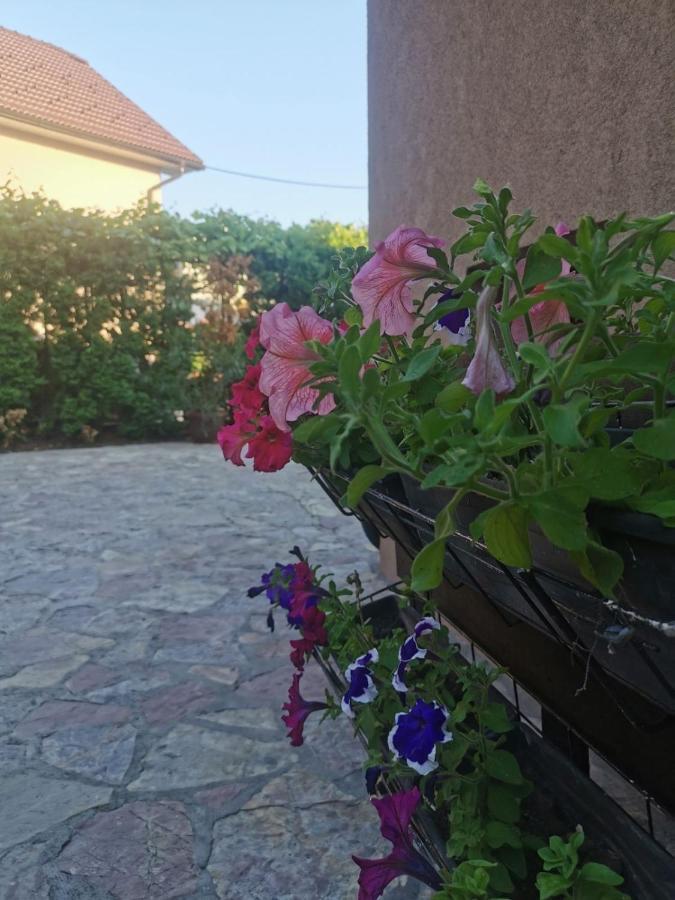 House Leyla Otel Bihać Dış mekan fotoğraf